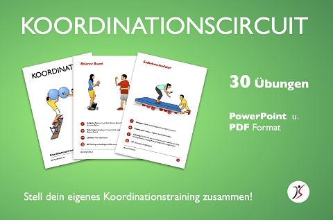 Koordinationscircuit
