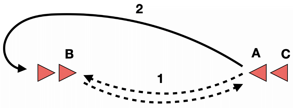 Frisbee Rundlauf