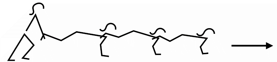 Liegestützwurm