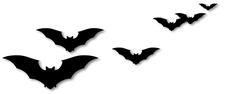 Tanz der Vampire