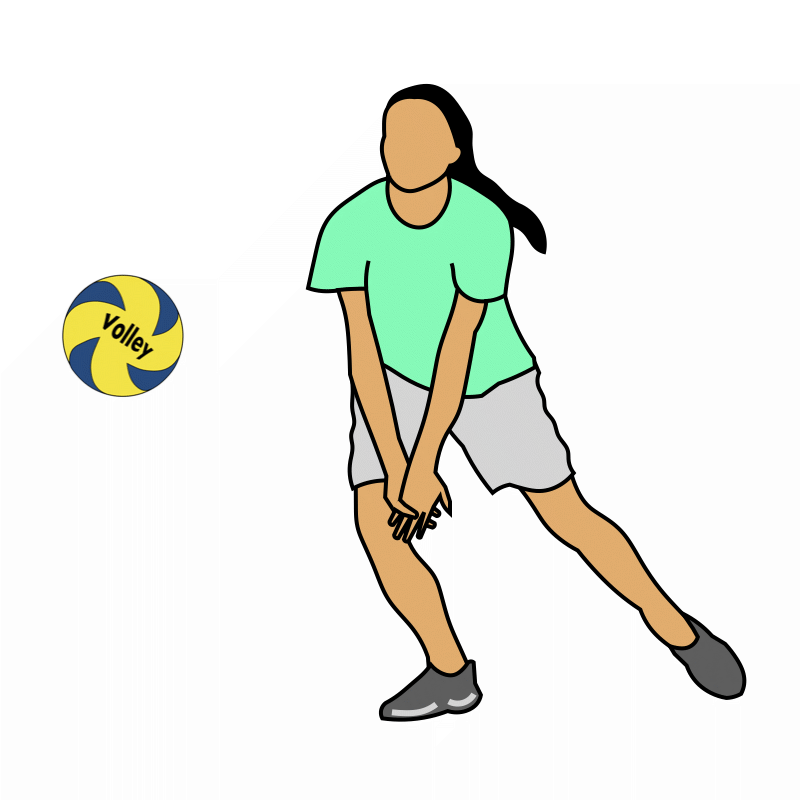 Volleyball