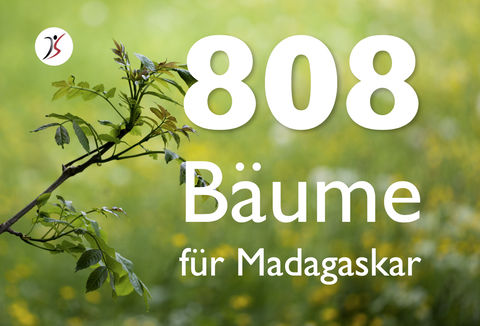 Bäume pflanzen