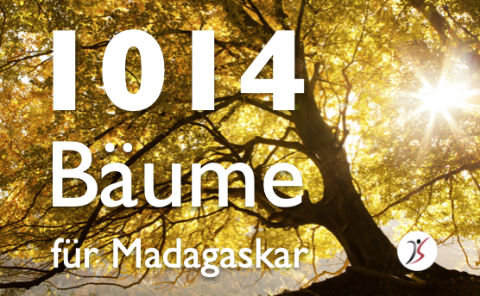 Eden Reforestation Projects